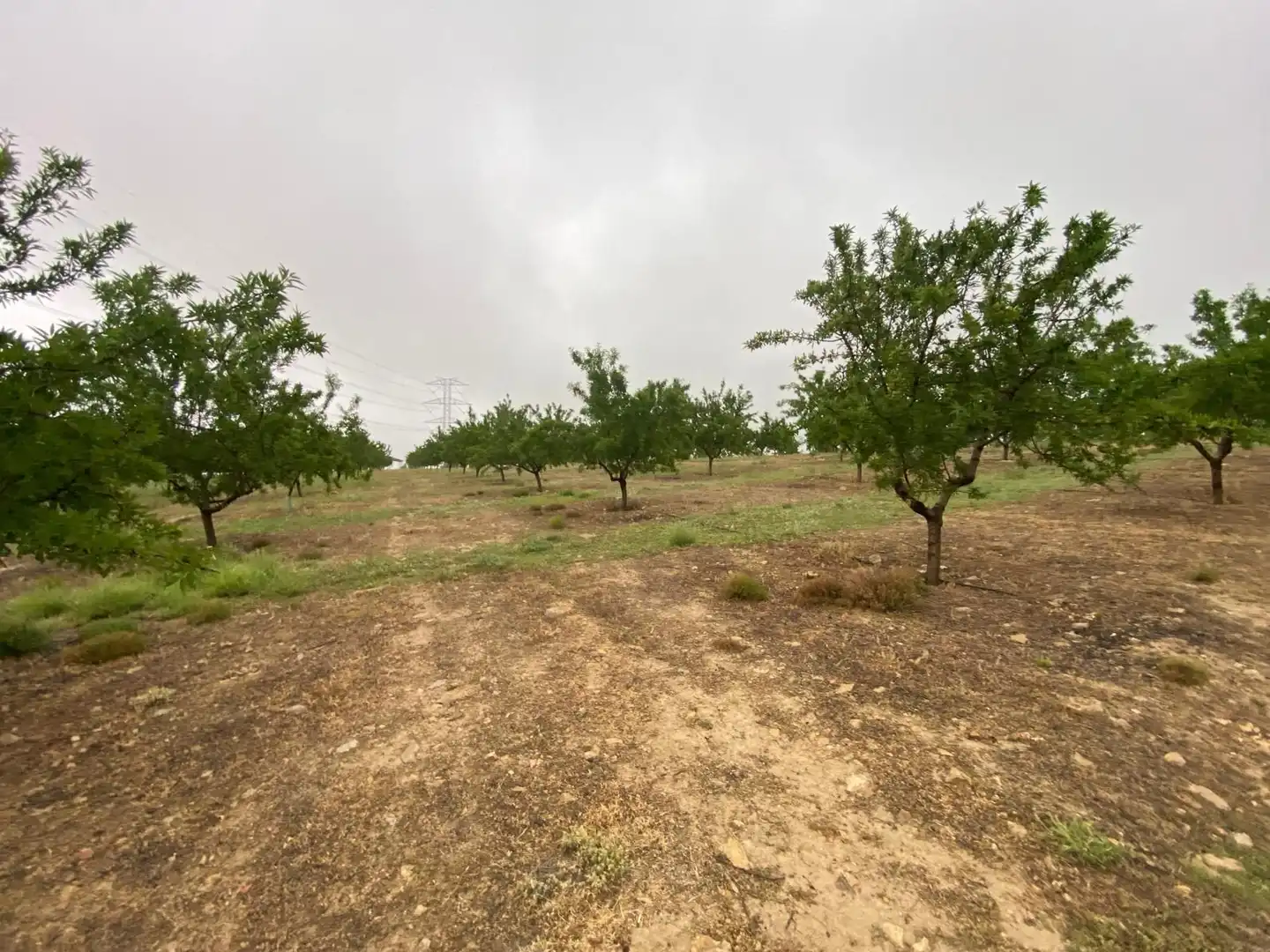 Terreni e lotti in vendita a Guadahortuna, imagen 29