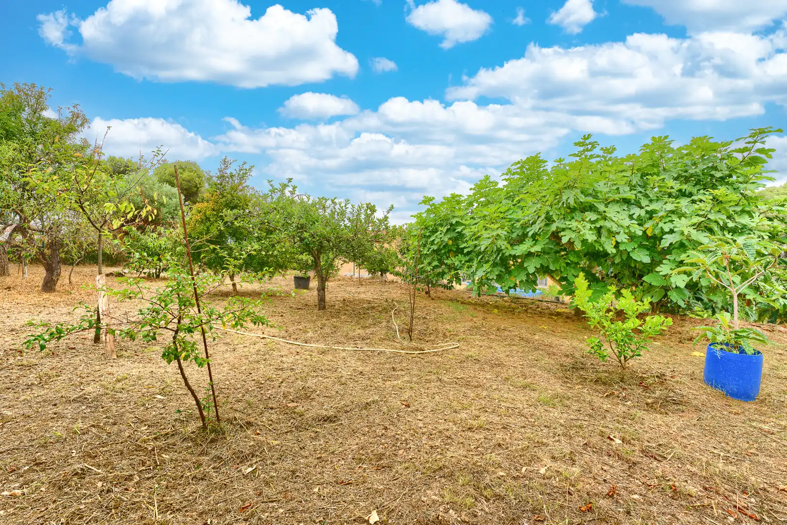 Casa o xalet en venda en Castellet i la Gornal amb Jardí privat, Terrassa i Moblat