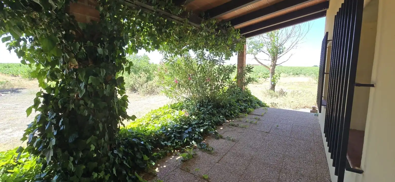 Casa rústica en venda a Villarrobledo, imagen 6