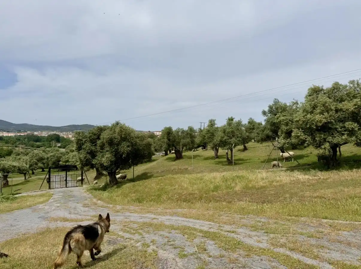 Finca rústica en venta en Plasencia con Jardín privado y Piscina