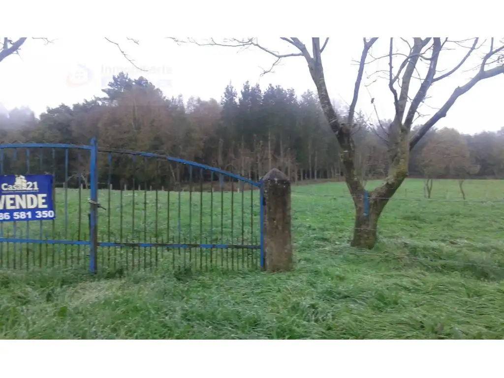 Haus zum Verkauf in PO-6502, imagen 2
