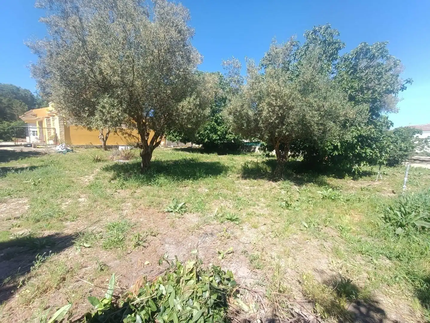 Terreny residencial en venda a Ctra Sanlúcar - Cuatro Pinos, imagen 5