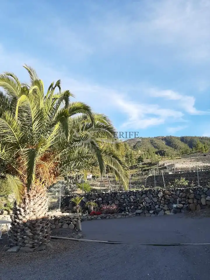 Vista exterior de Finca rústica en venda en Granadilla de Abona amb Jardí privat i Terrassa