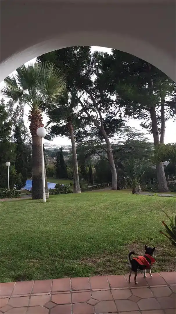 Jardí de Finca rústica en venda en Pechina amb Aire condicionat i Piscina