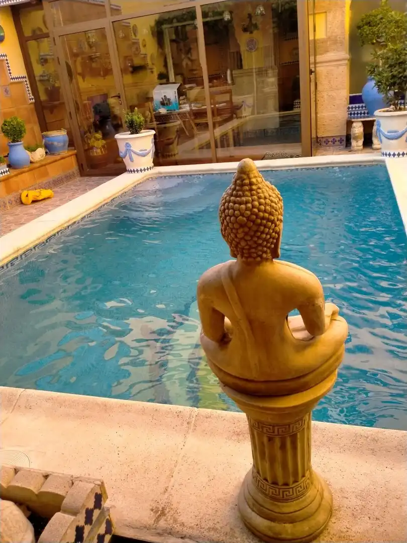 Reihenhaus mit Pool zum Verkauf in Pedanías - Extrarradio, imagen 24