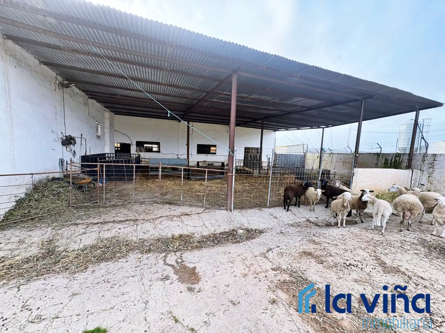 Vista exterior de Casa o chalet en venta en Los Corrales con Aire acondicionado y Amueblado
