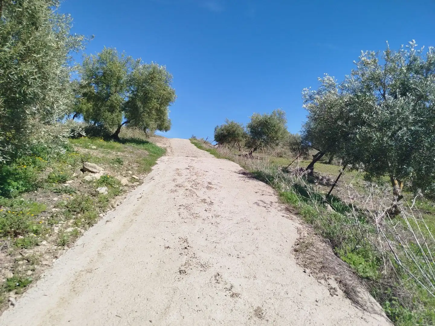 Terreno en venta en Olvera