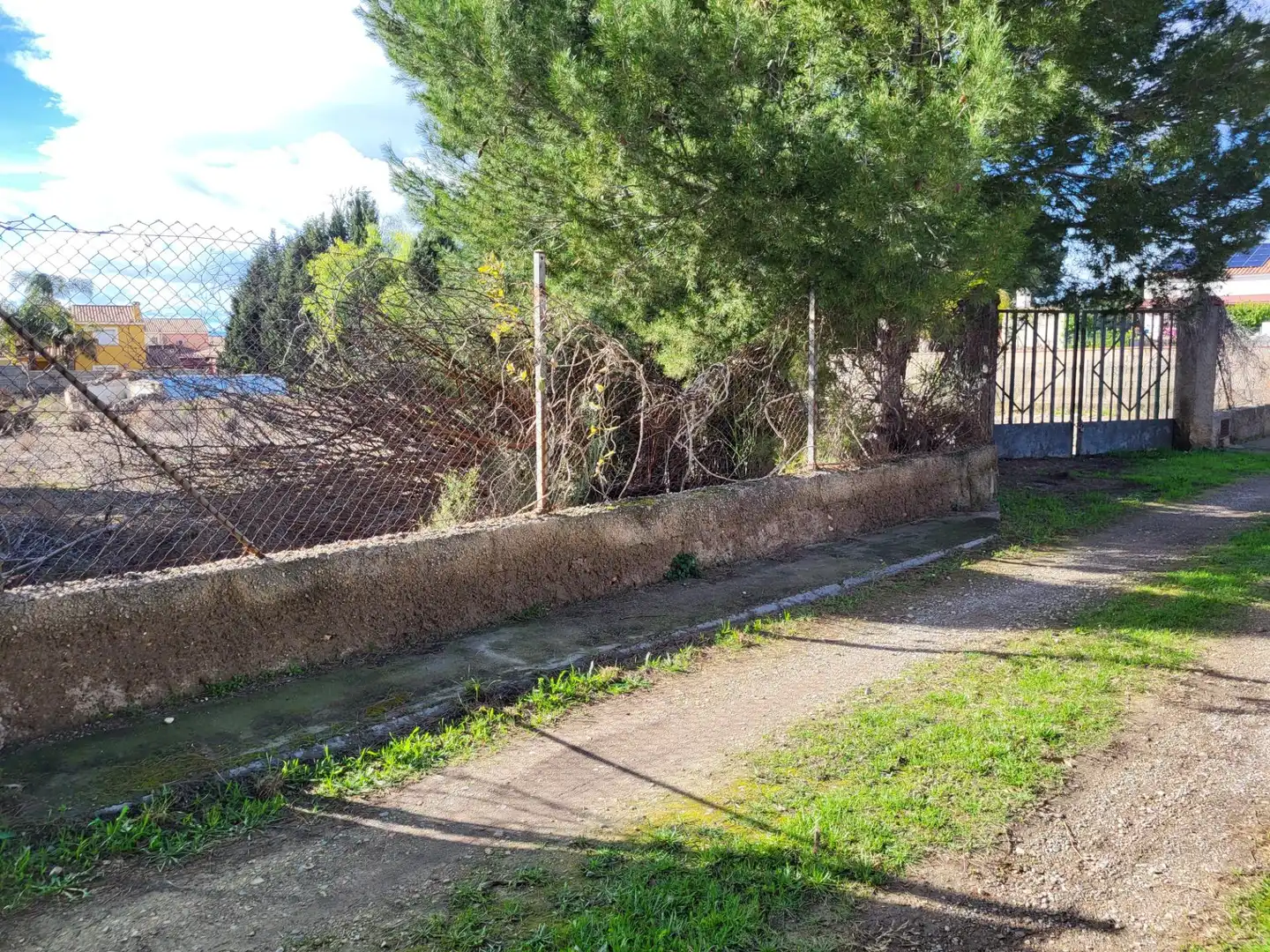 Wohnbaugrundstück zum Verkauf in Calle CARRER ROSES, imagen 7
