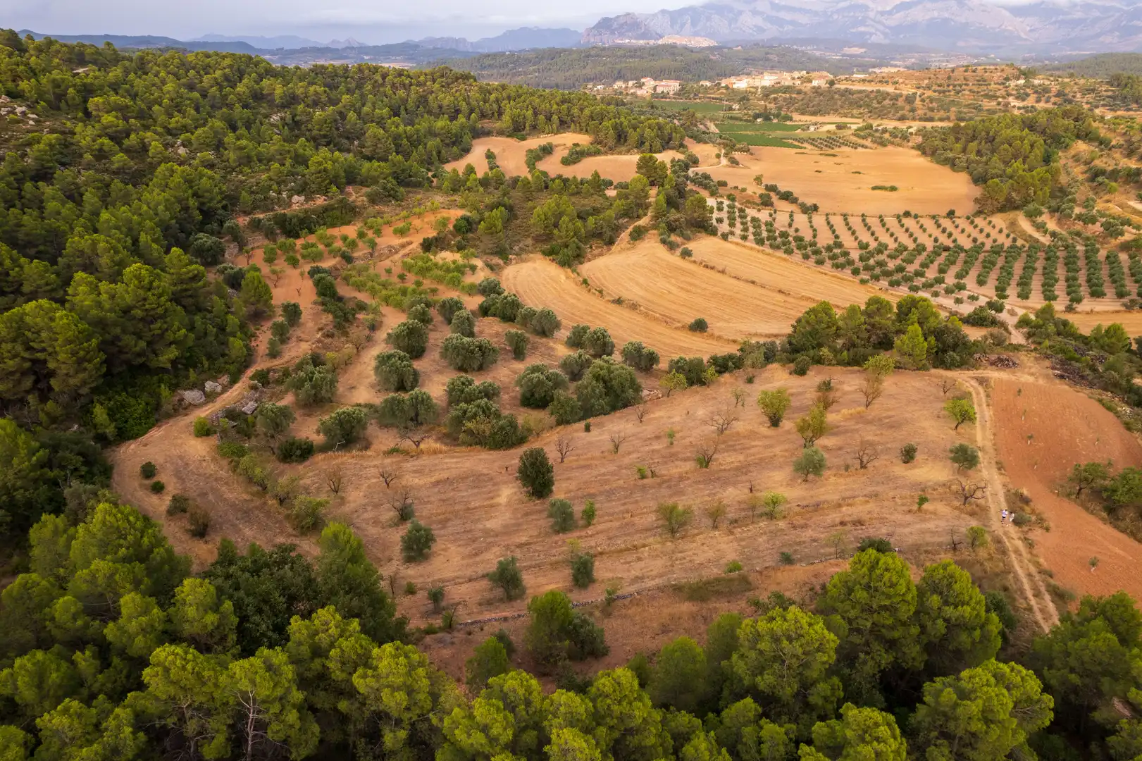 Rural land for sale in Lledó, imagen 31