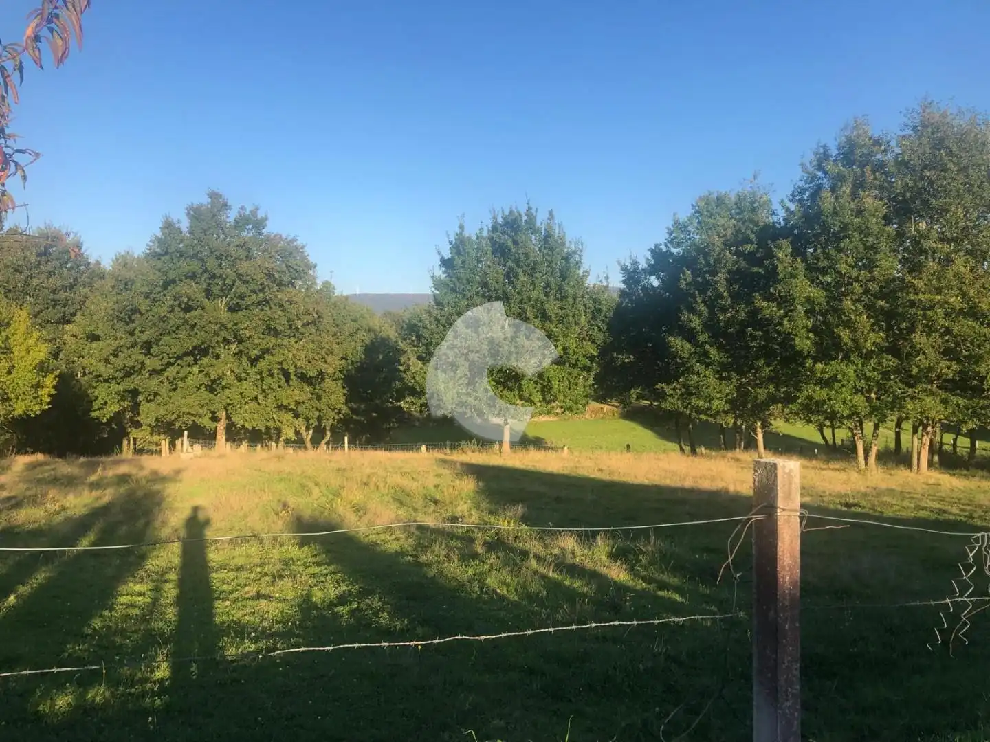 Terreni e lotti in vendita a Nogueira de Ramuín, imagen 2