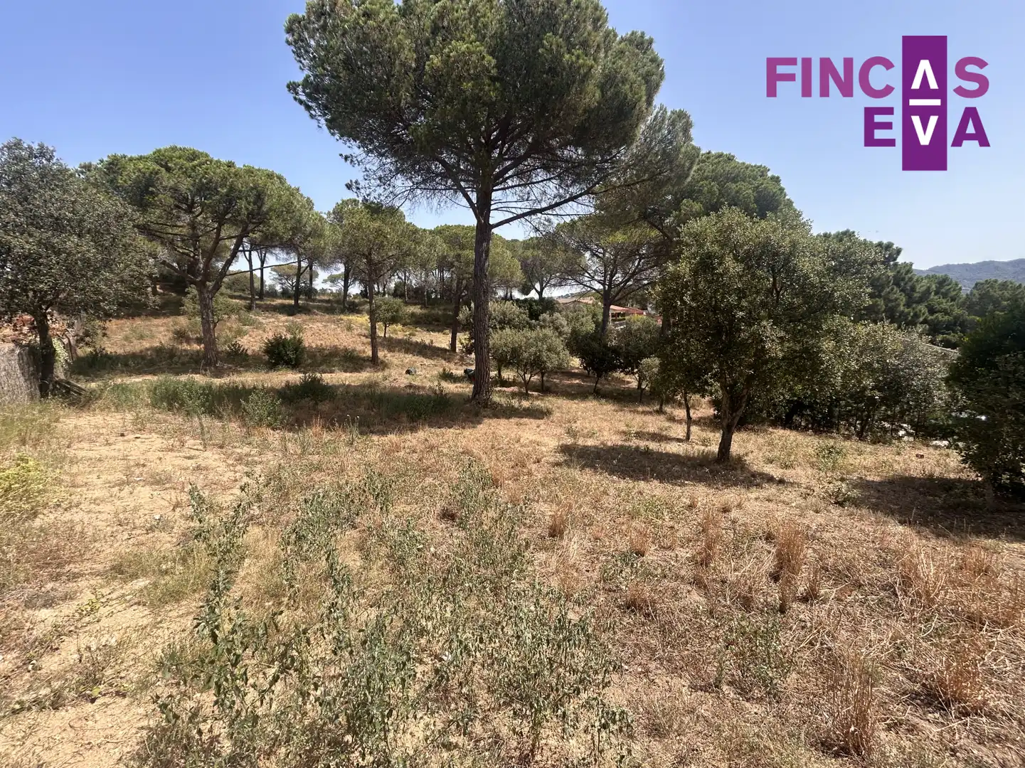 Rural land for sale in Vallromanes - CL SANT ANDREU, imagen 22