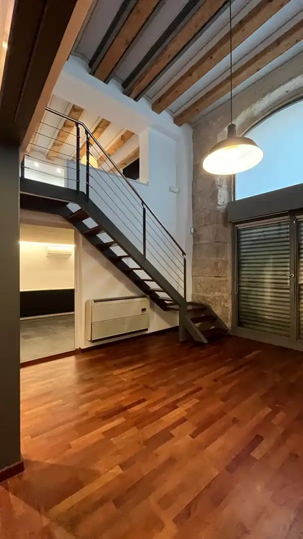 Office space to rent in RIPOLL / MISSER FERRER 18, imagen 18