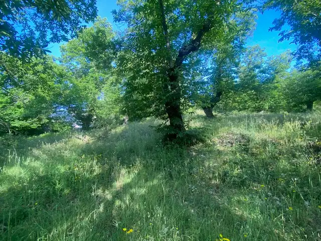 Terreni e lotti in vendita a Fuenteheridos