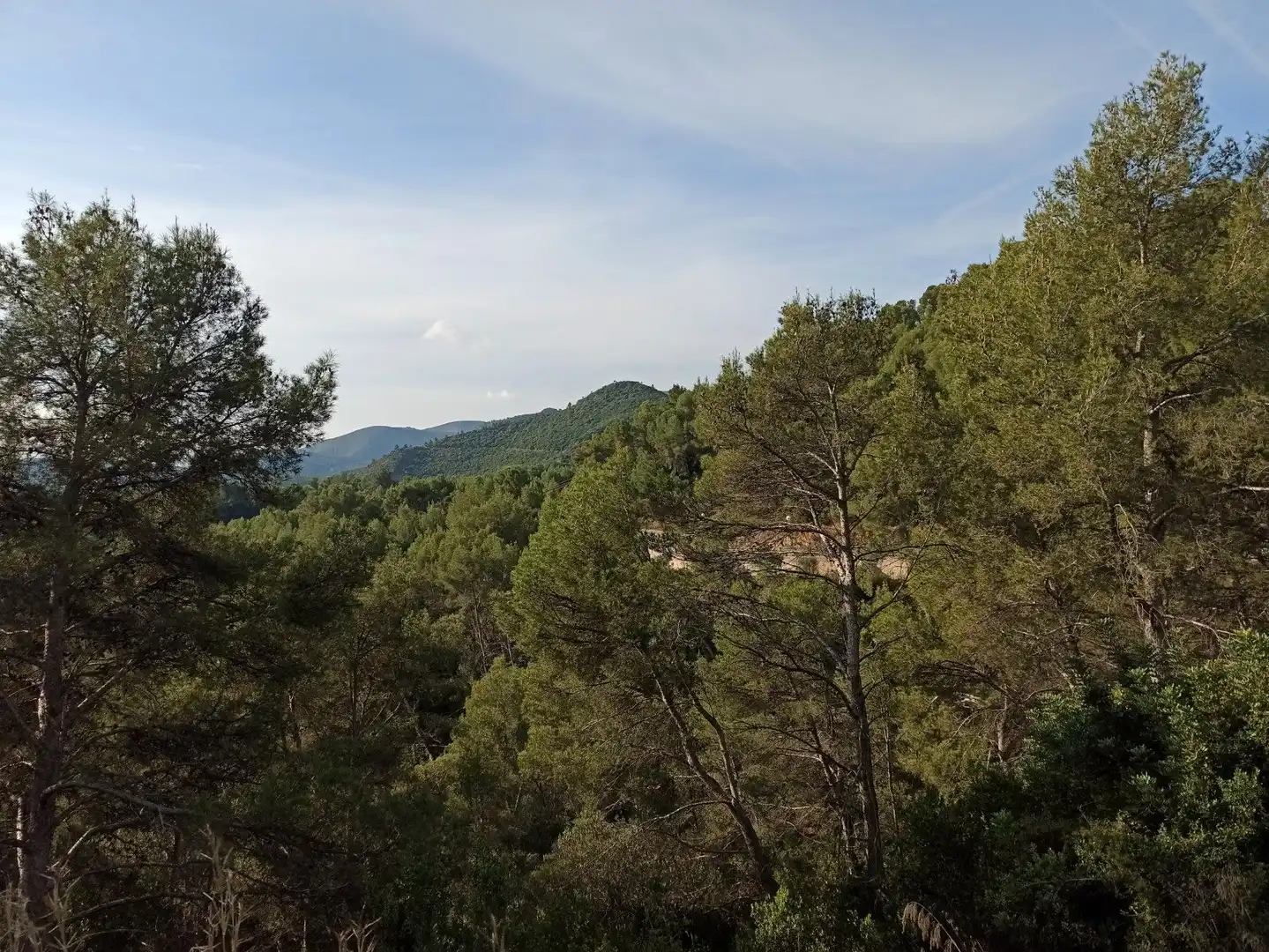 Terreno residenziale in vendita a Carrer les Alzines, imagen 3