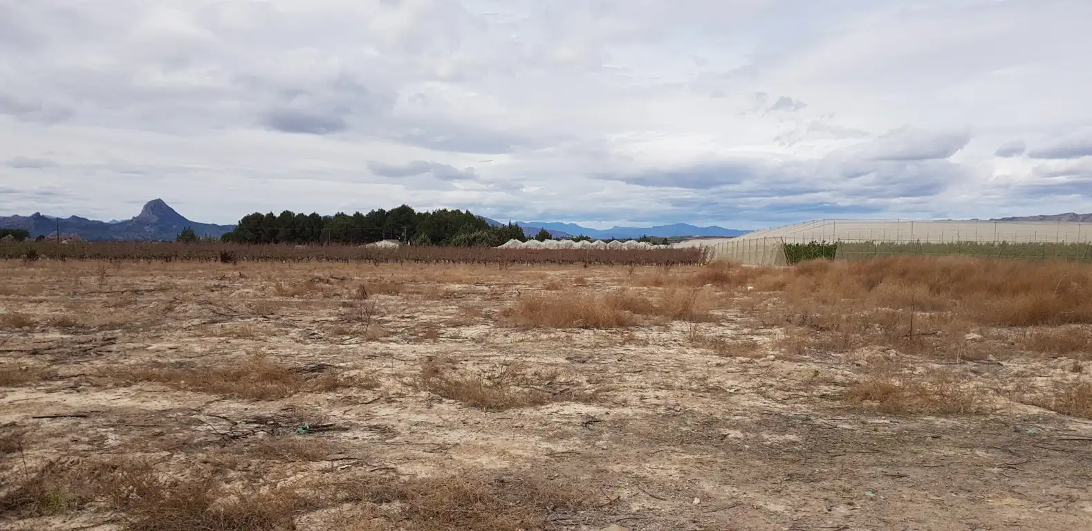 Rustikales Grundstück zum Verkauf in Cieza, imagen 7