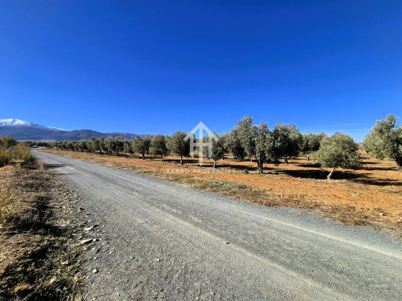 Lands and plots for sale in Lanteira, imagen 63