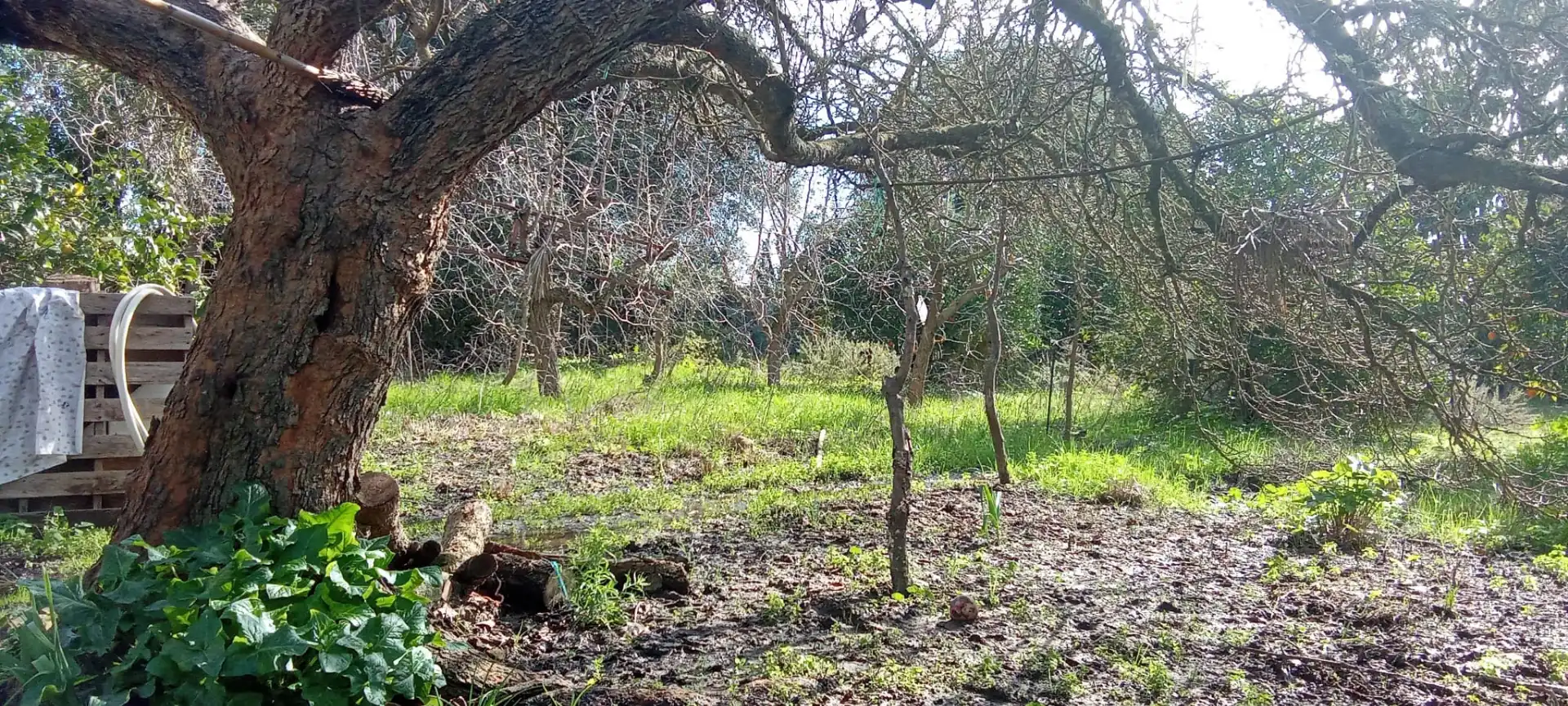 Casa rústica en venda a Vejer, imagen 24
