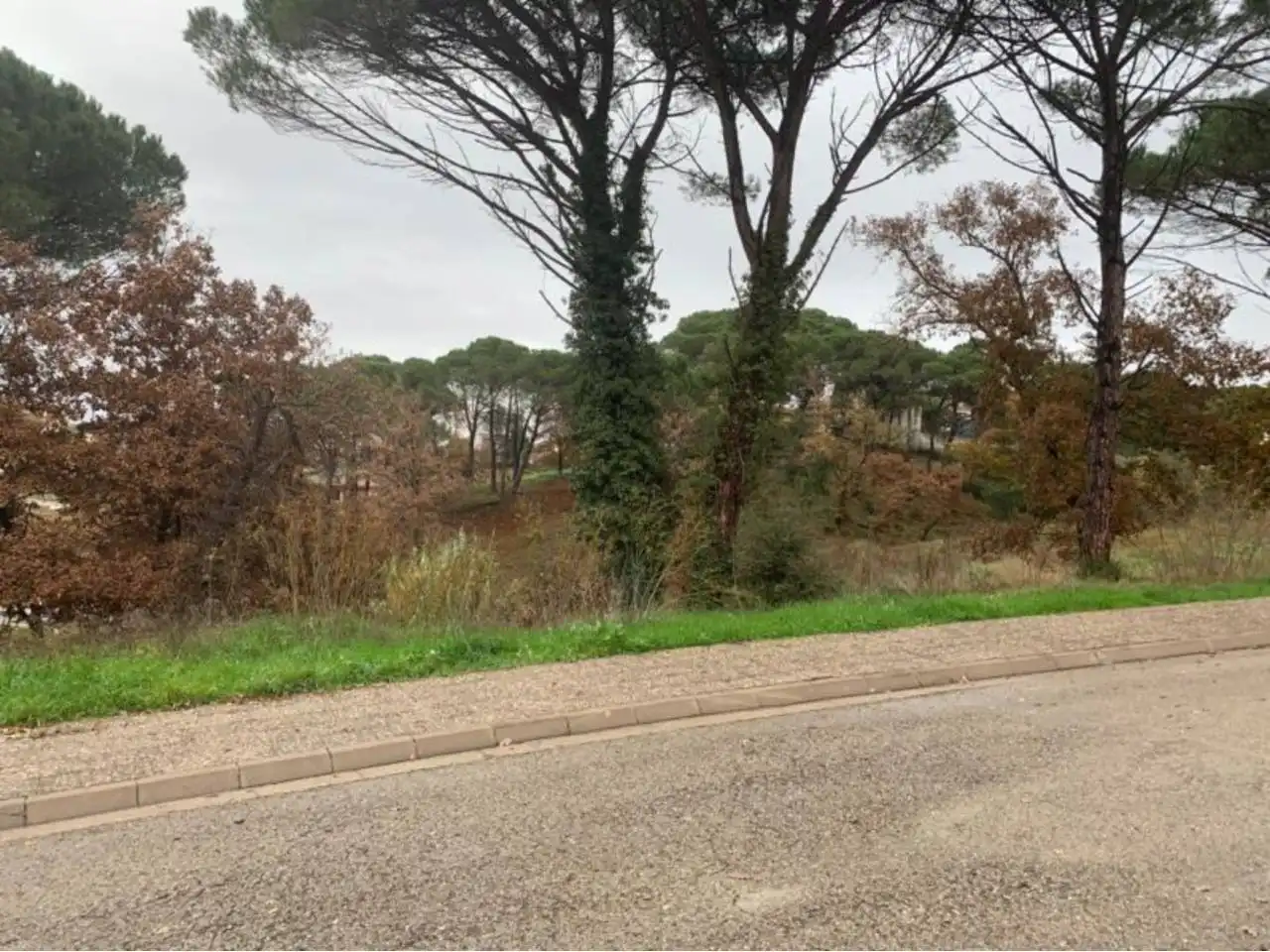 Terreny residencial en venda a Calle segria