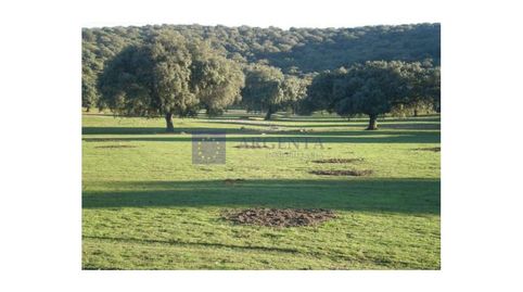 Foto 4 de Casa o chalet en venta en Poligono 11 Paraje 59 Cañada, Navalmoral de la Mata, Cáceres