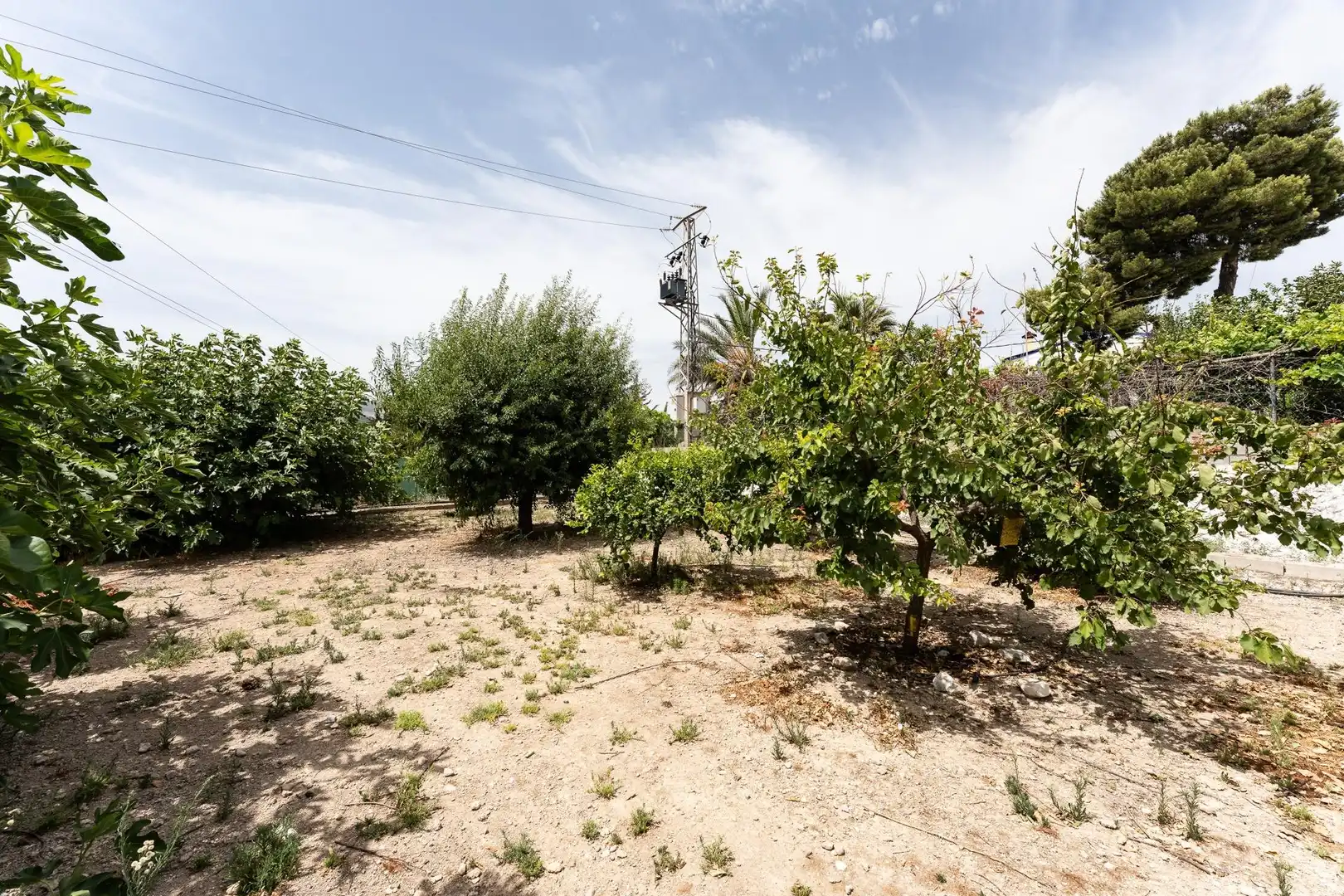 Casa rústica amb jardí en venda a El Romeral - Peñón de Zapata, imagen 14