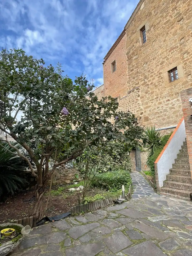 Jardí de Casa o xalet en venda en Plasencia amb Aire condicionat, Calefacció i Jardí privat