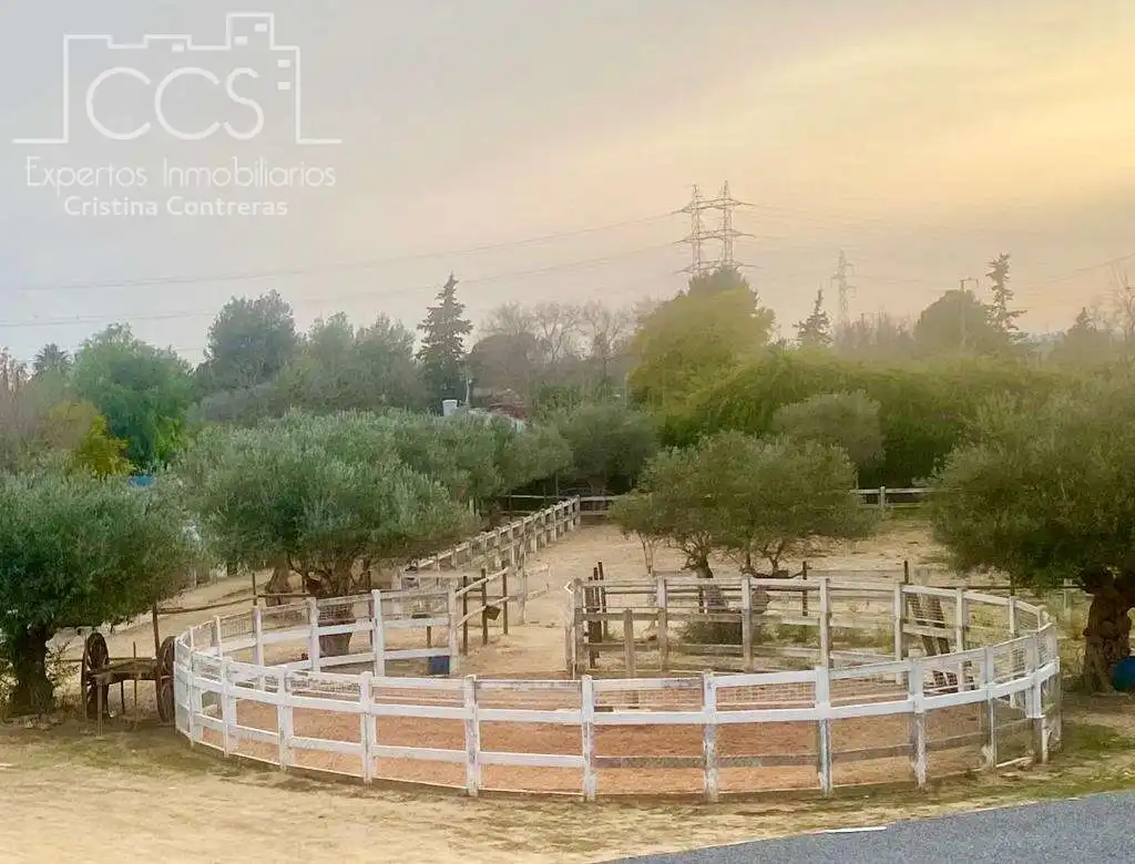 Vista exterior de Finca rústica en venta en Alcalá de Guadaira con Piscina y Amueblado