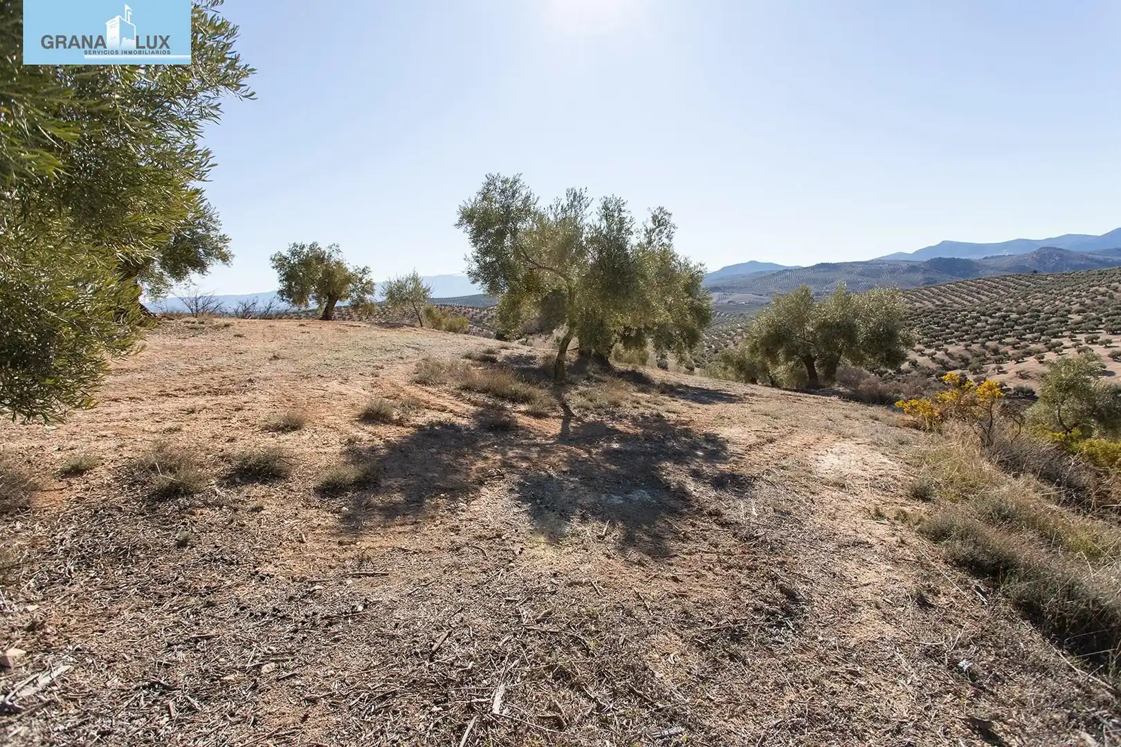 Land for sale in Campotéjar
