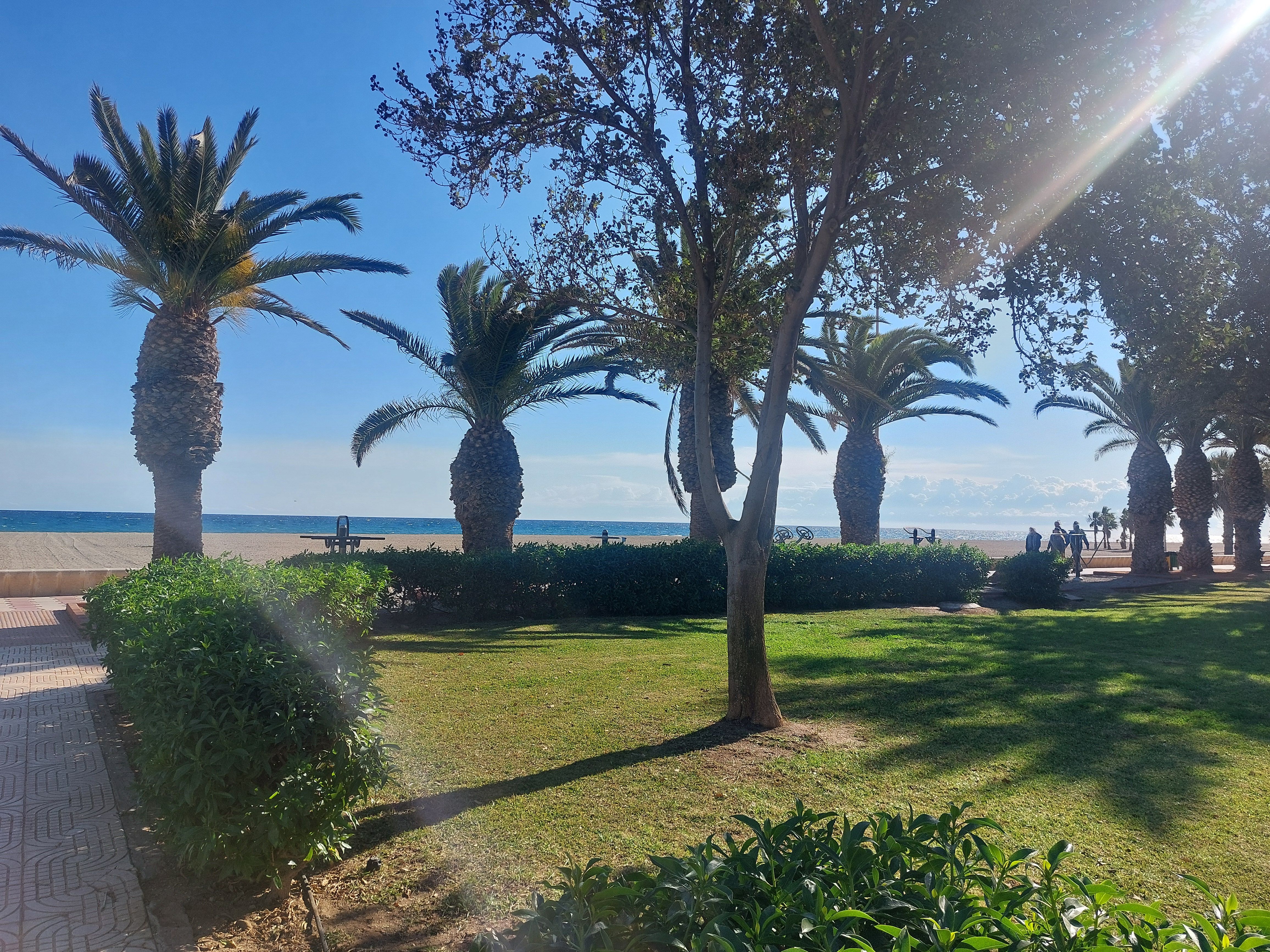 Garden of Flat to rent in Roquetas de Mar  with Air Conditioner, Heating and Terrace