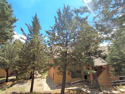 Garden of House or chalet for sale in Alcalá de la Selva