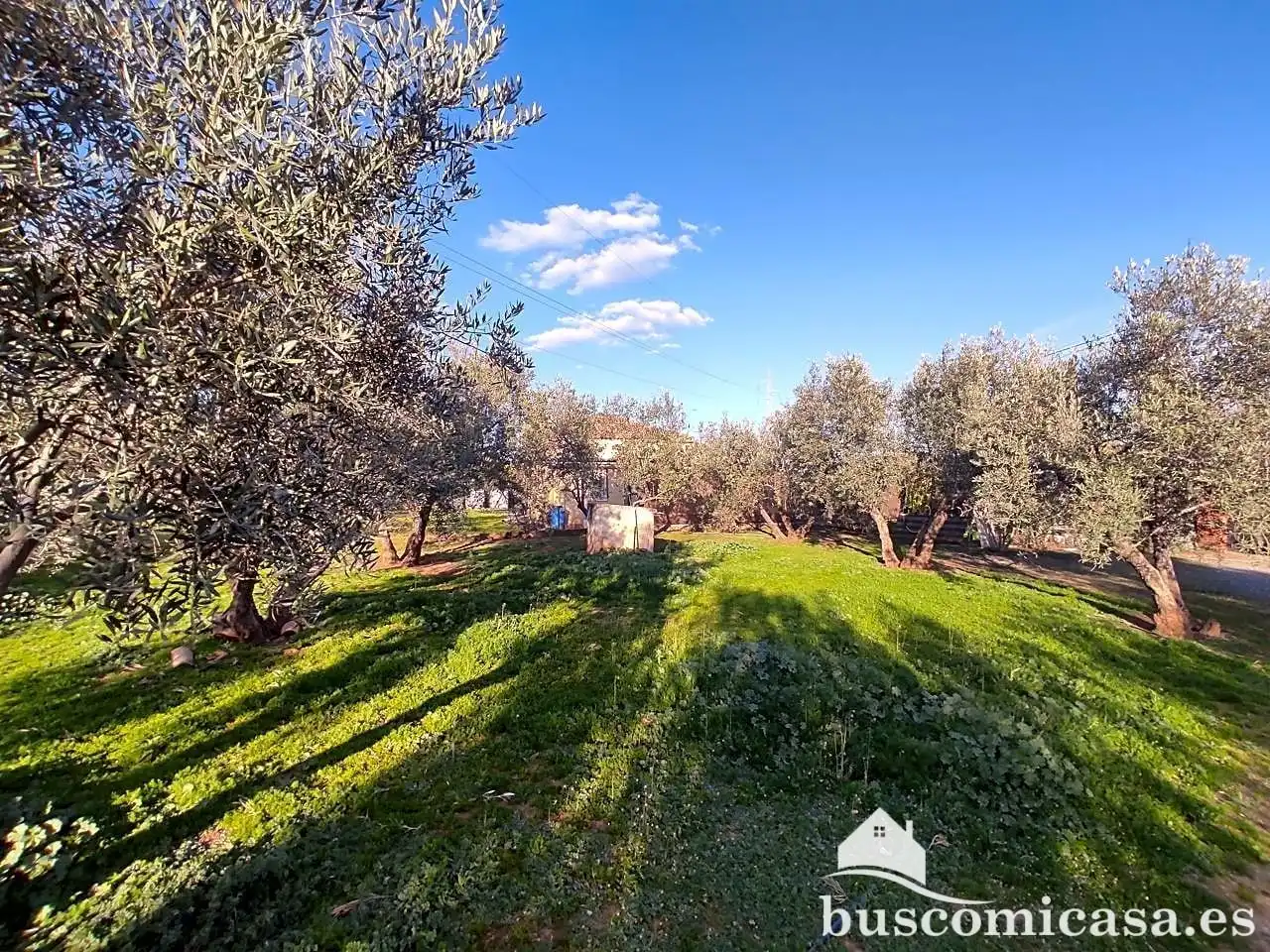 Casa amb jardí en venda a San Roque - La Cruz - La Rozuela, imagen 3