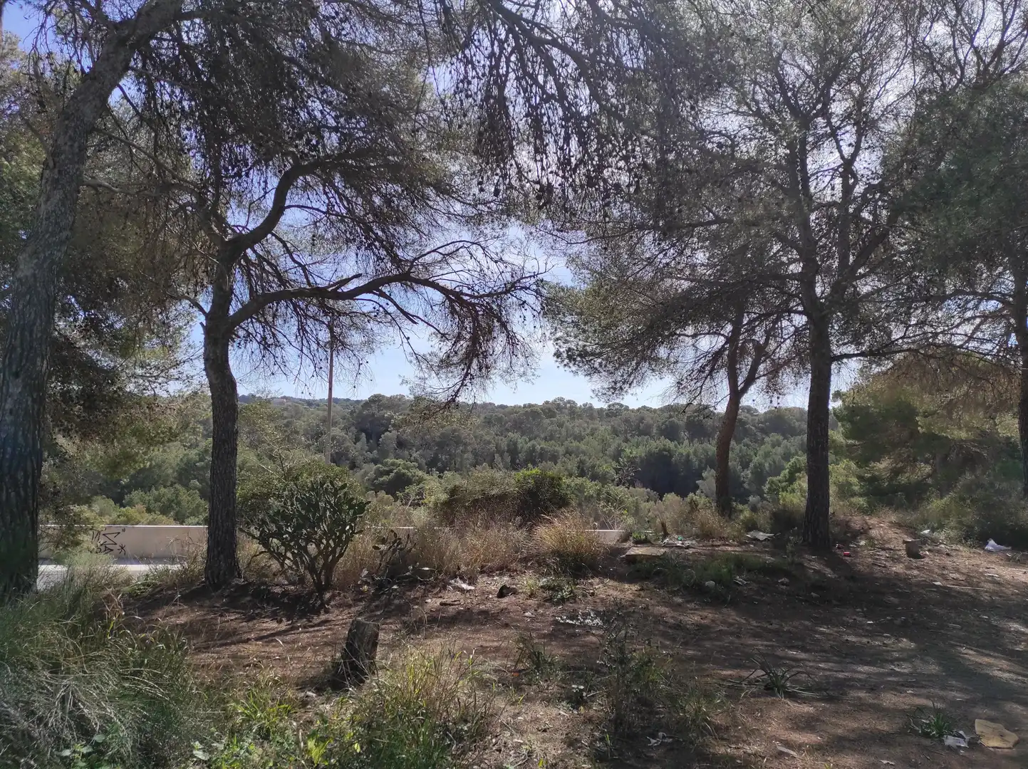 Residencial en venta en  Palma de Mallorca
