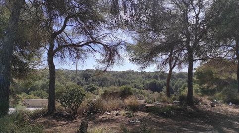 Foto 5 de Residencial en venda a N/a, -1, Les Maravelles, Palma de Mallorca