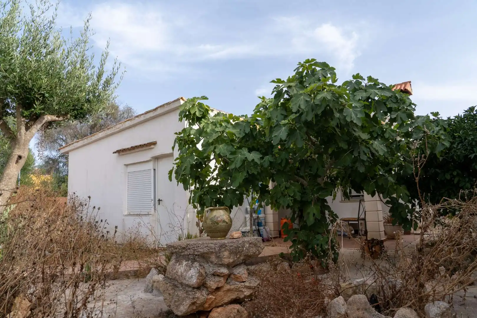 Jardí de Casa o xalet en venda en Campos amb Jardí privat, Terrassa i Moblat