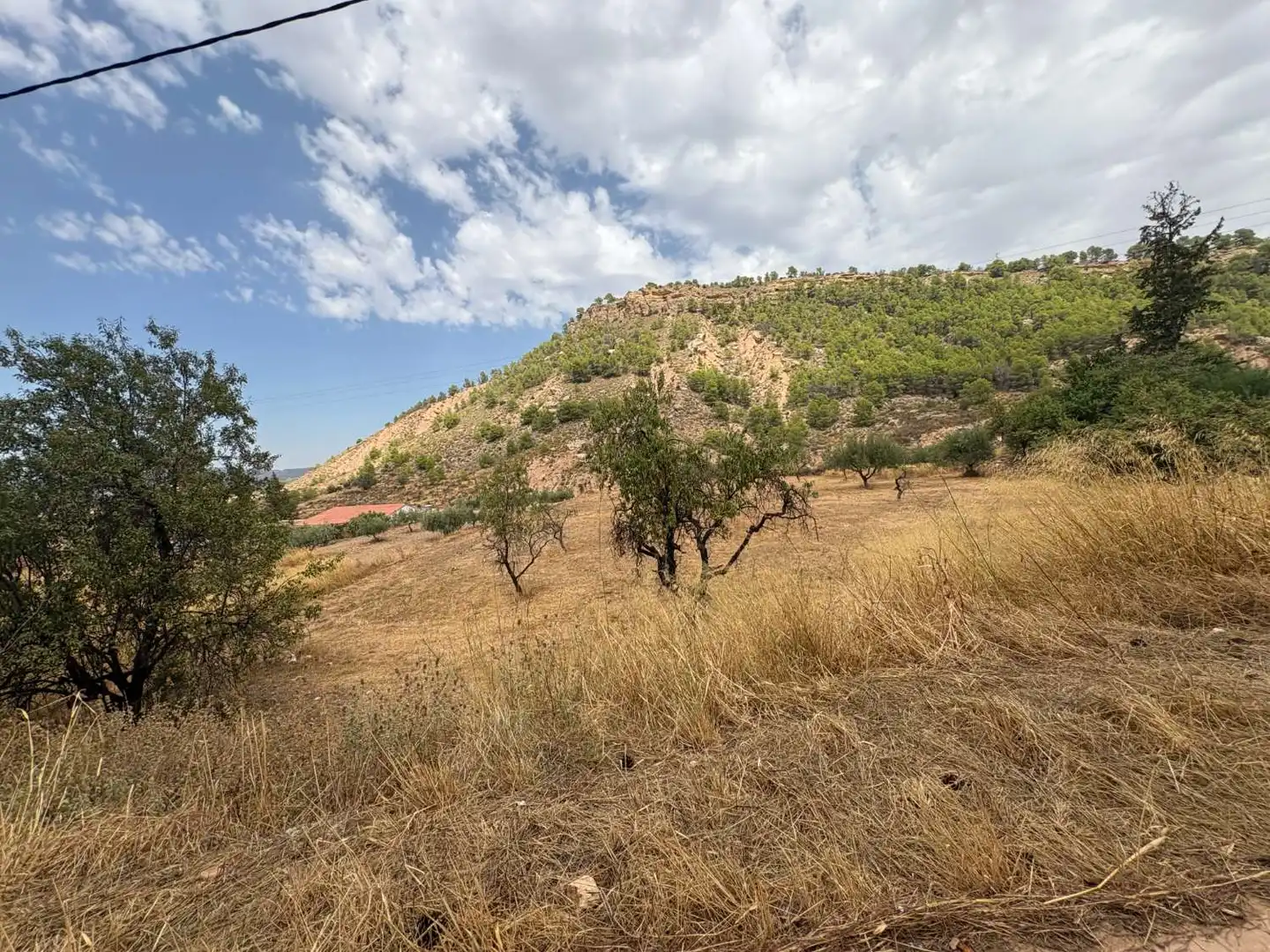Terrenos y solares en venta en Pliego, imagen 2