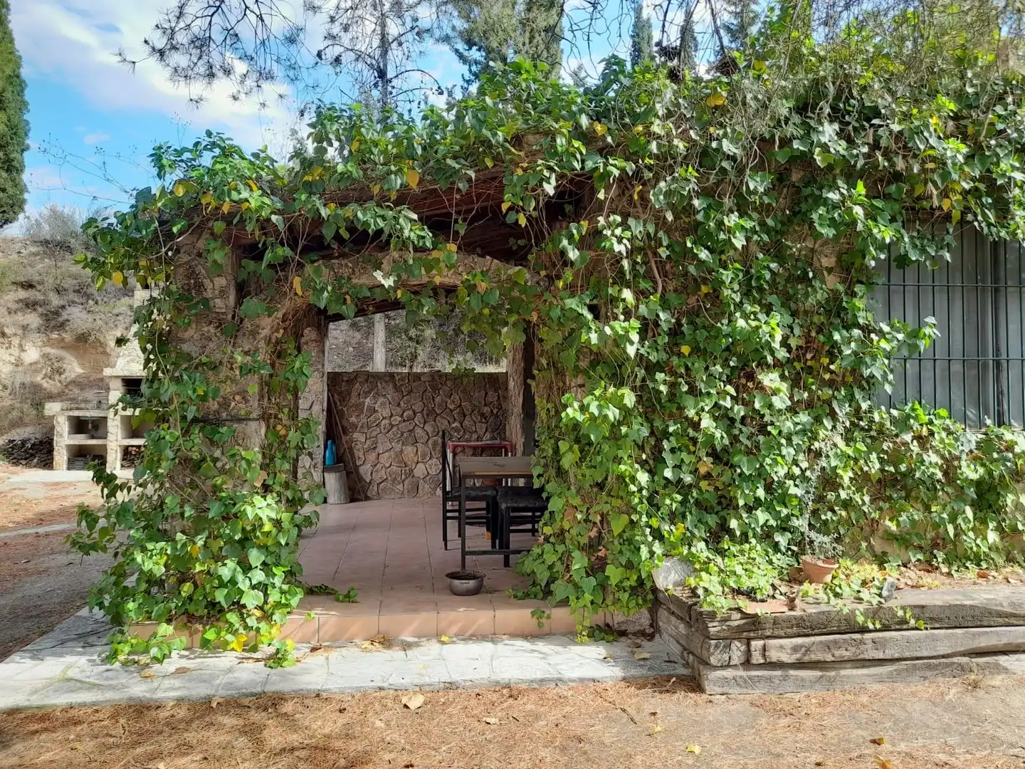 Terreno rústico en venta en Ascó, imagen 8