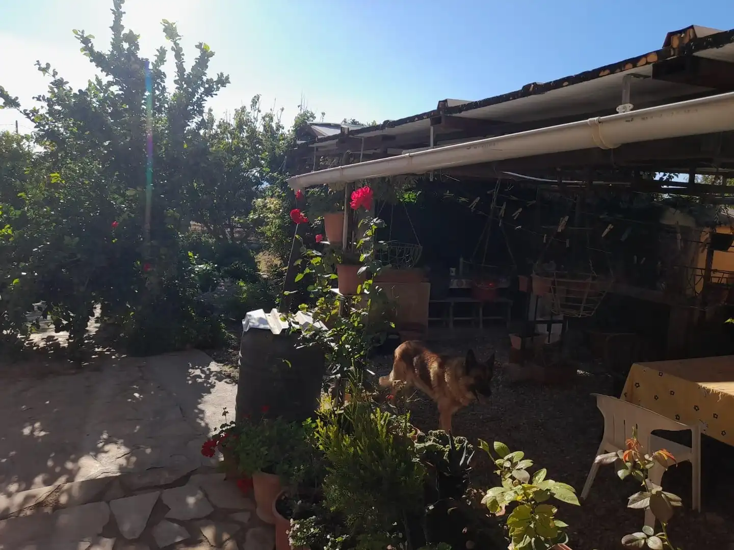 Jardí de Casa o xalet en venda en Flix amb Jardí privat, Terrassa i Traster
