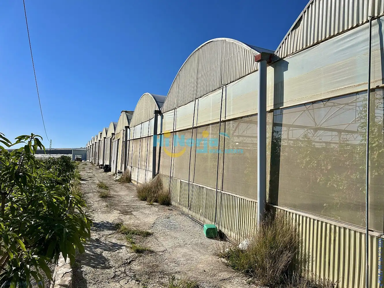 Terrenys i solars en venda a Algarrobo pueblo, imagen 11