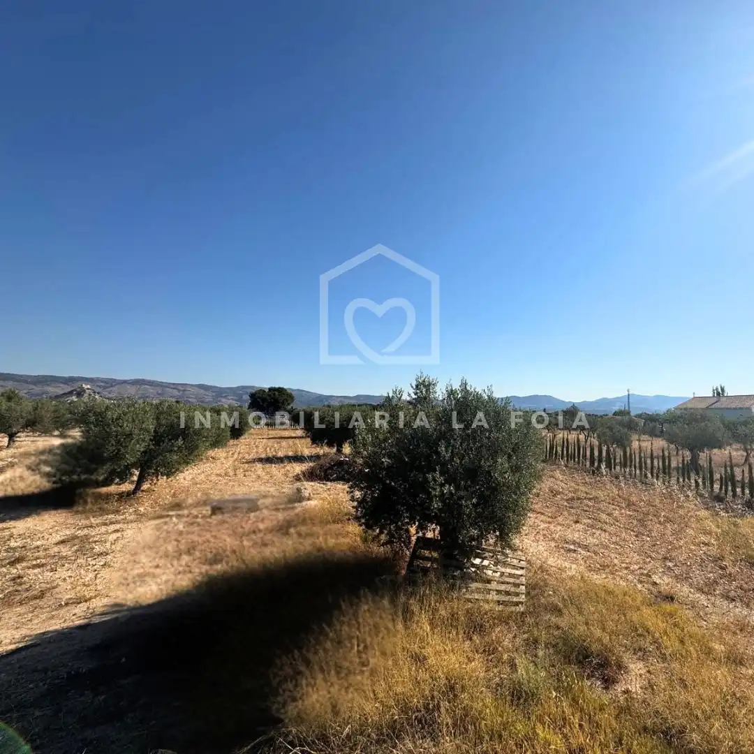 Maison rustique à vendre à Lugar II Pd 2 1606, imagen 18