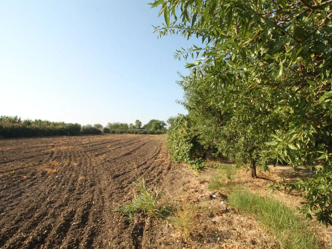 Terreno rustico in vendita a Calle Poniente 13, imagen 5