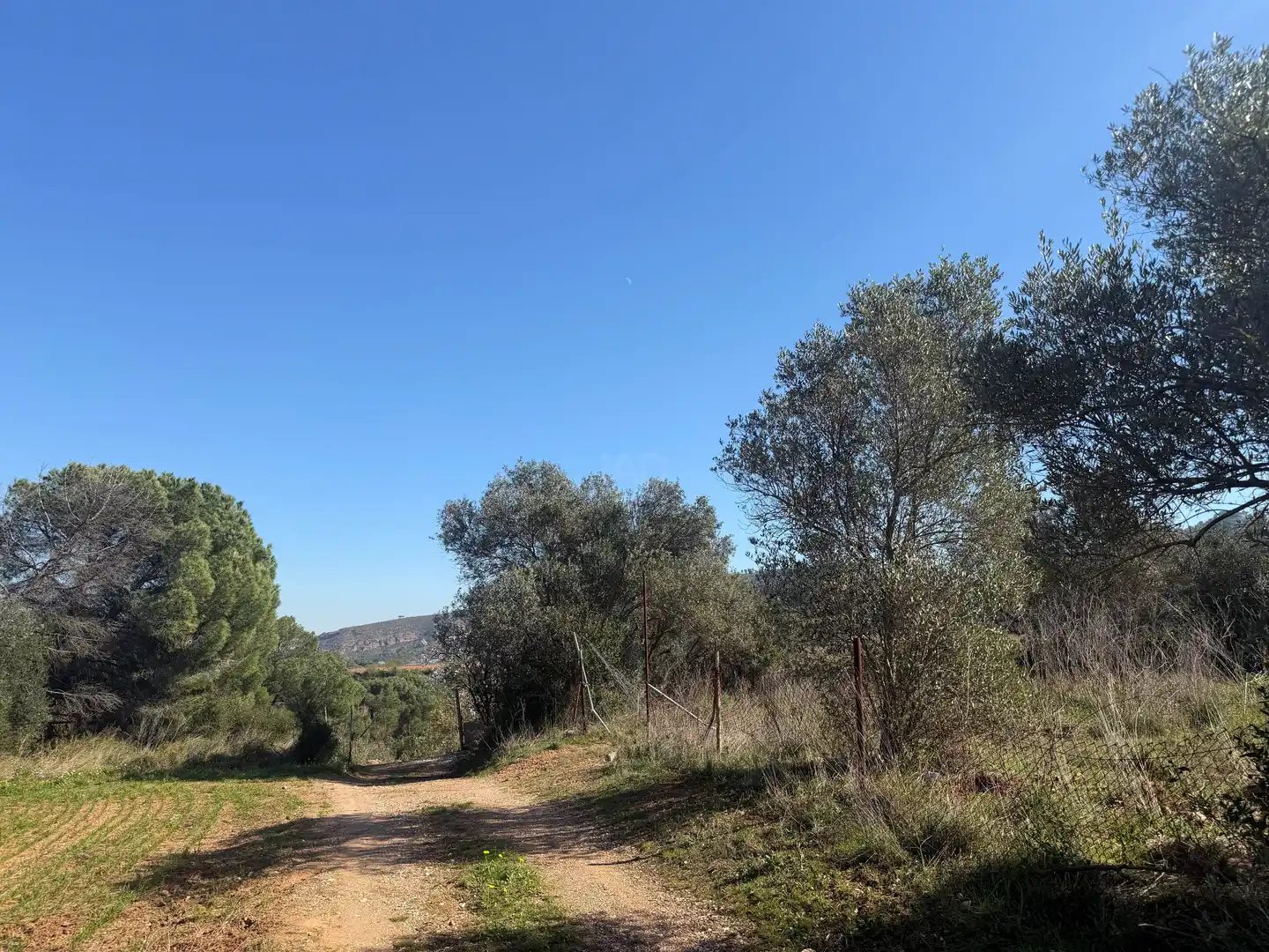 Rustikales Grundstück zum Verkauf in Castellví de Rosanes, imagen 5