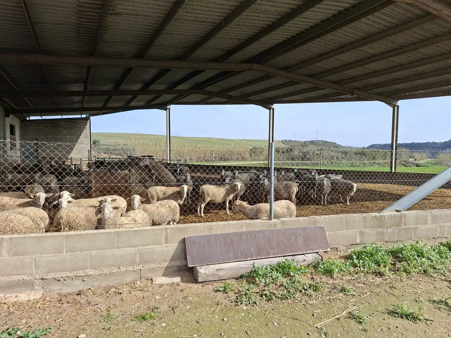 Terreni e lotti in vendita a Huerta Rimer de Alla, imagen 32