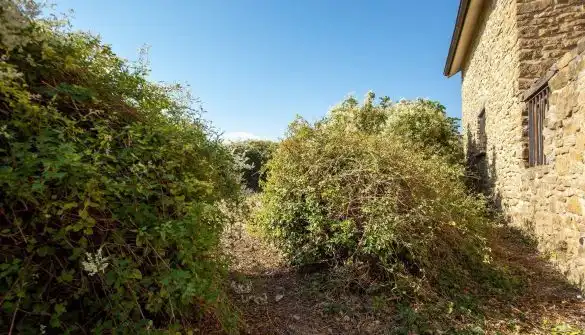 Casa en venta en Calle Mayor, imagen 65