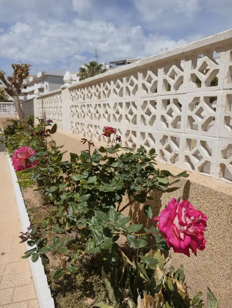 Garden of Apartments for sale in Cuenca  with Air Conditioner, Terrace and Furnished