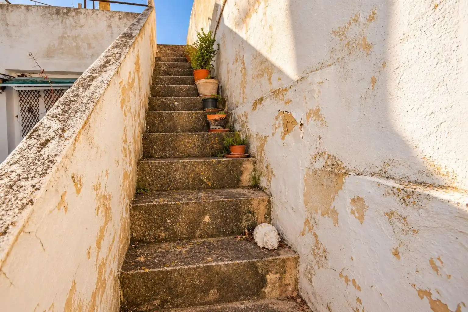 Vista exterior de Casa o xalet en venda en  Palma de Mallorca amb Jardí privat
