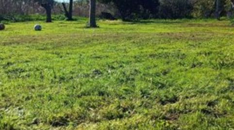 Foto 2 de Finca rústica en venta en Camino de Valverde, Gibraleón, Huelva