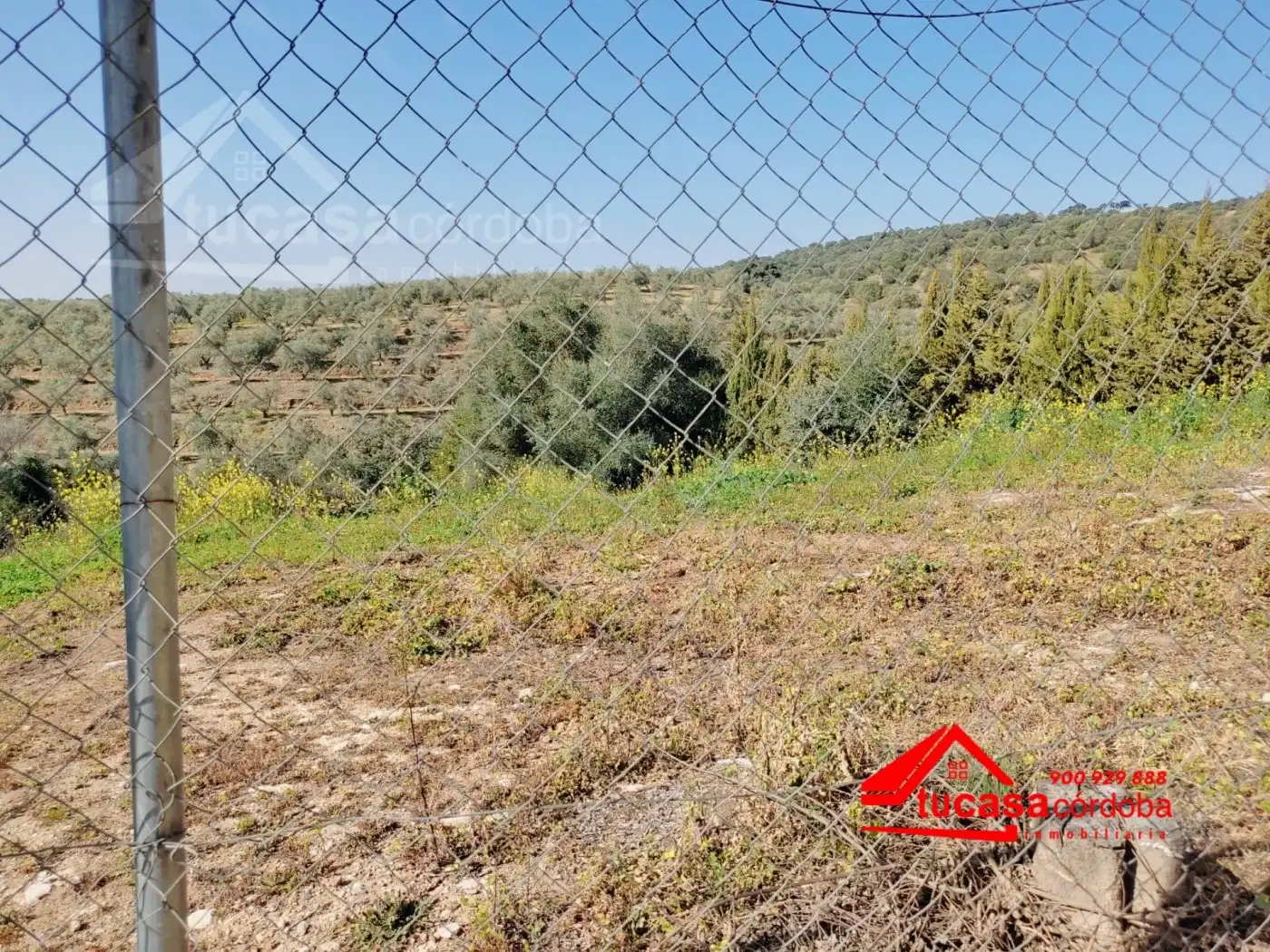 Terreny rústic en venda a Almodóvar del Río
