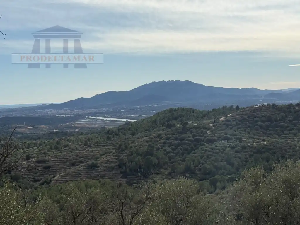 Country house for sale in Poligono 82 Paraje 6 Camp-Redo, imagen 15