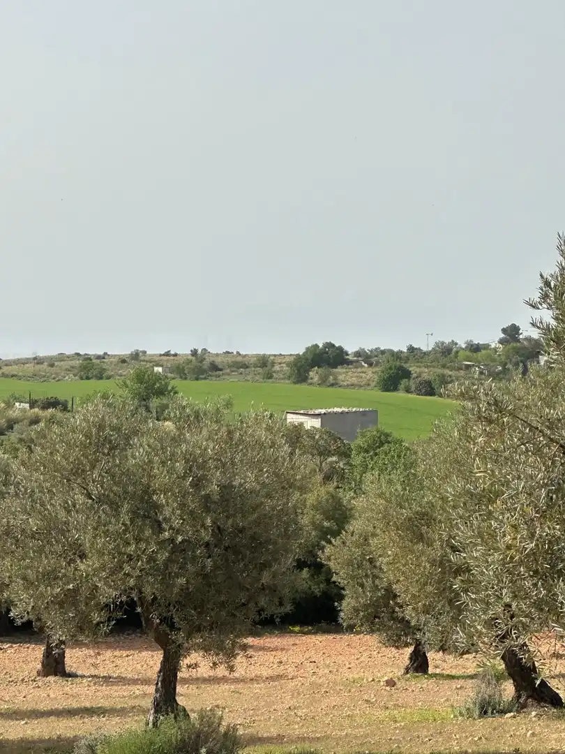 Terreno en venta en Morata de Tajuña