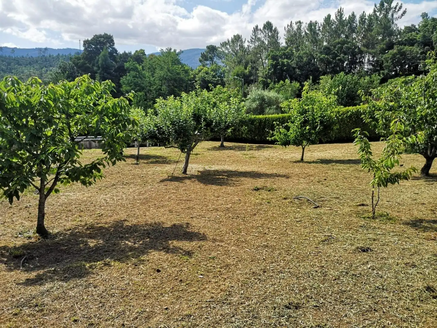 Residencial en venda en Cortegada