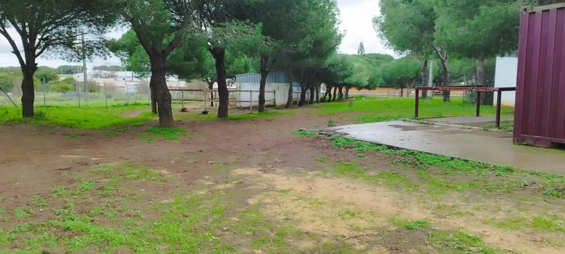 Casa o chalet en venta en Puerto Real